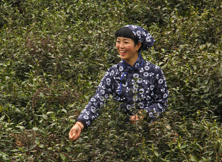 百丽直播 热门8